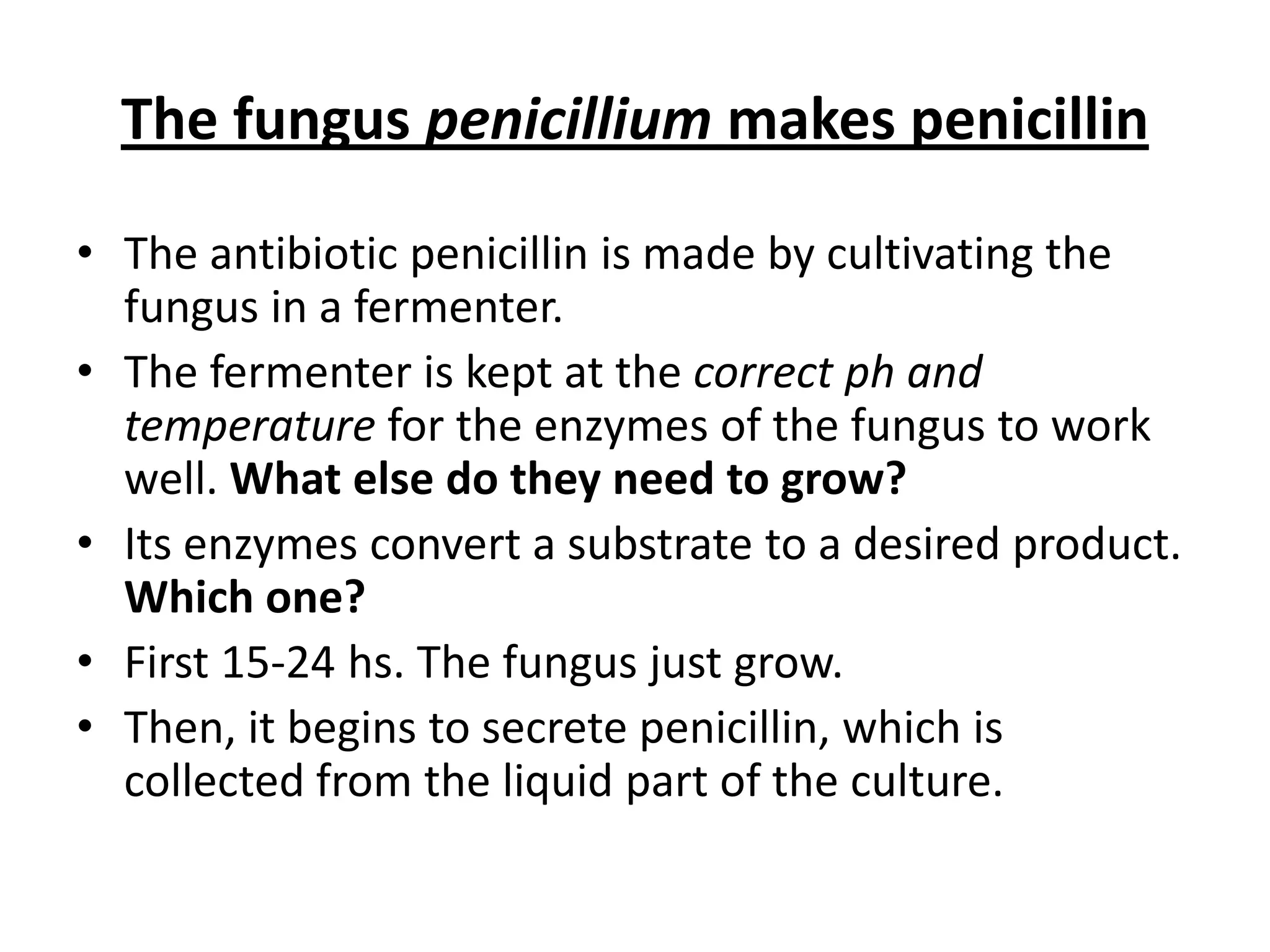 The fungus penicillium makes penicillin
• The antibiotic penicillin is made by cultivating the
fungus in a fermenter.
• The fermenter is kept at the correct ph and
temperature for the enzymes of the fungus to work
well. What else do they need to grow?
• Its enzymes convert a substrate to a desired product.
Which one?
• First 15-24 hs. The fungus just grow.
• Then, it begins to secrete penicillin, which is
collected from the liquid part of the culture.
