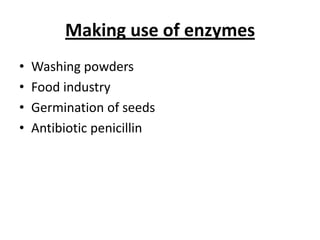 Making use of enzymes
• Washing powders
• Food industry
• Germination of seeds
• Antibiotic penicillin
 