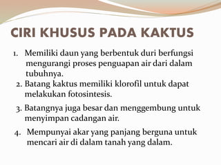CIRI KHUSUS PADA KAKTUS
1. Memiliki daun yang berbentuk duri berfungsi
mengurangi proses penguapan air dari dalam
tubuhnya.
2. Batang kaktus memiliki klorofil untuk dapat
melakukan fotosintesis.
3. Batangnya juga besar dan menggembung untuk
menyimpan cadangan air.
4. Mempunyai akar yang panjang berguna untuk
mencari air di dalam tanah yang dalam.
 