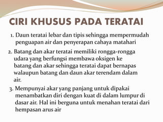 CIRI KHUSUS PADA TERATAI
1. Daun teratai lebar dan tipis sehingga mempermudah
penguapan air dan penyerapan cahaya matahari
2. Batang dan akar teratai memiliki rongga-rongga
udara yang berfungsi membawa oksigen ke
batang dan akar sehingga teratai dapat bernapas
walaupun batang dan daun akar terendam dalam
air.
3. Mempunyai akar yang panjang untuk dipakai
menambatkan diri dengan kuat di dalam lumpur di
dasar air. Hal ini berguna untuk menahan teratai dari
hempasan arus air
 