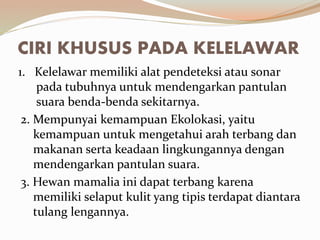CIRI KHUSUS PADA KELELAWAR
1. Kelelawar memiliki alat pendeteksi atau sonar
pada tubuhnya untuk mendengarkan pantulan
suara benda-benda sekitarnya.
2. Mempunyai kemampuan Ekolokasi, yaitu
kemampuan untuk mengetahui arah terbang dan
makanan serta keadaan lingkungannya dengan
mendengarkan pantulan suara.
3. Hewan mamalia ini dapat terbang karena
memiliki selaput kulit yang tipis terdapat diantara
tulang lengannya.
 
