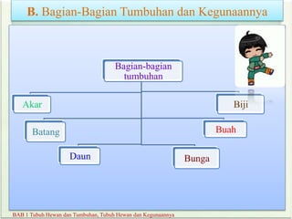 B. Bagian-Bagian Tumbuhan dan Kegunaannya
BAB 1 Tubuh Hewan dan Tumbuhan, Tubuh Hewan dan Kegunaannya
Bagian-bagian
tumbuhan
Akar
Batang
Daun Bunga
Buah
Biji
 