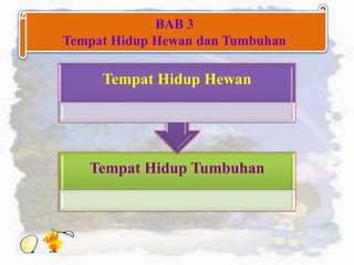 BAB 3
Tempat Hidup Hewan dan Tumbuhan
Tempat Hidup Tumbuhan
Tempat Hidup Hewan
 