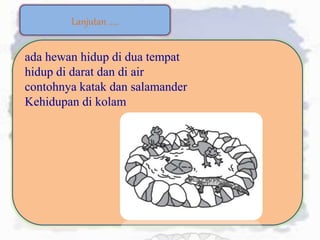 Lanjutan .....
ada hewan hidup di dua tempat
hidup di darat dan di air
contohnya katak dan salamander
Kehidupan di kolam
 