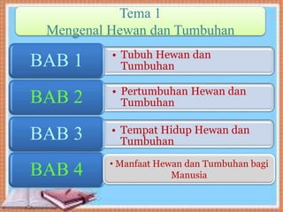 Tema 1
Mengenal Hewan dan Tumbuhan
• Tubuh Hewan dan
TumbuhanBAB 1
• Pertumbuhan Hewan dan
TumbuhanBAB 2
• Tempat Hidup Hewan dan
TumbuhanBAB 3
BAB 4 • Manfaat Hewan dan Tumbuhan bagi
Manusia
 