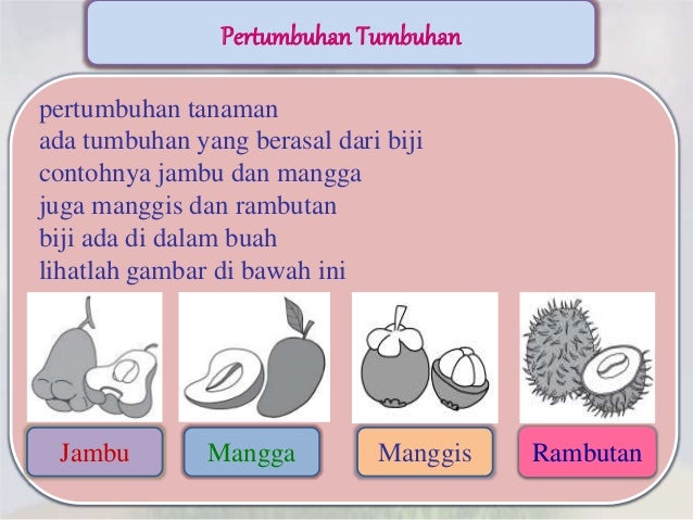 Power Point Mapel Ipa Kelas 2 48716549