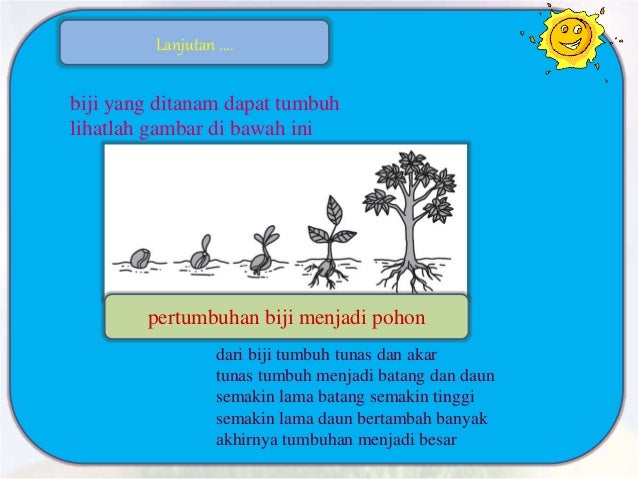 Power Point Mapel Ipa Kelas 2 48716549