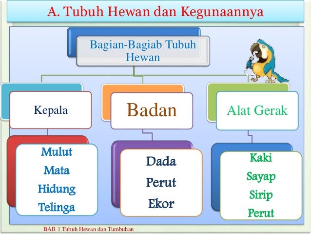 Power Point Mapel Ipa Kelas 2 48716549