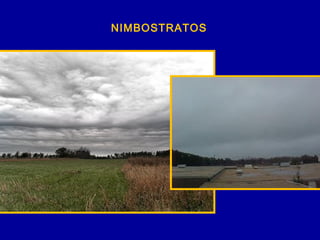 NIMBOSTRATOS
 