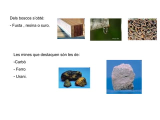 Dels boscos s’obté: - Fusta , resina o suro. Les mines que destaquen són les de: Carbó Ferro Urani. 