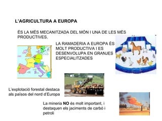 L’AGRICULTURA A EUROPA ÉS LA MÉS MECANITZADA DEL MÓN I UNA DE LES MÉS PRODUCTIVES. LA RAMADERIA A EUROPA ÉS MOLT PRODUCTIVA I ES DESENVOLUPA EN GRANJES ESPECIALITZADES L’explotació forestal destaca als països del nord d’Europa La mineria  NO  és molt important, i destaquen els jaciments de carbó i petroli 