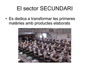 El sector SECUNDARI  Es dedica a transformar les primeres matèries amb productes elaborats 