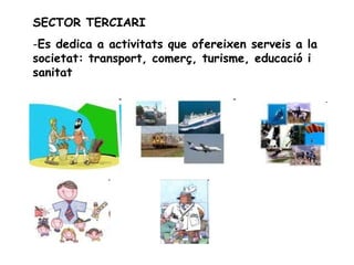 SECTOR TERCIARI Es dedica a activitats que ofereixen serveis a la societat: transport, comerç, turisme, educació i sanitat 