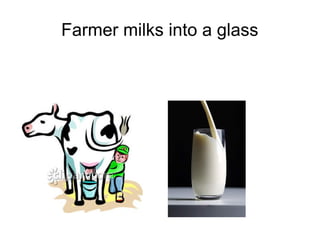 Farmer milks into a glass
 