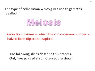 The type of cell division which gives rise to gametes
is called
Reduction division in which the chromosome number is
halved from diploid to haploid.
The following slides describe this process.
Only two pairs of chromosomes are shown
7
 