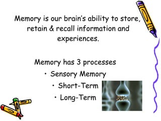 Memory is our brain’s ability to store, retain & recall information and experiences. Memory has 3 processes Sensory Memory Short-Term Long-Term 