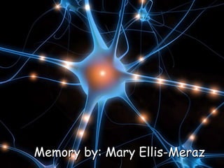 Memory by: Mary Ellis-Meraz 