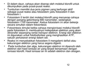 •   Di dalam daun, cahaya akan diserap oleh molekul klorofil untuk
    dikumpulkan pada pusat-pusat reaksi.
•   Tumbuhan memiliki dua jenis pigmen yang berfungsi aktif
    sebagai pusat reaksi atau fotosistem yaitu fotosistem II dan
    fotosistem I.
•   Fotosistem II terdiri dari molekul klorofil yang menyerap cahaya
    dengan panjang gelombang 680 nanometer, sedangkan
    fotosistem I 700 nanometer. Kedua fotosistem ini akan bekerja
    secara simultan dalam fotosintesis
•   Fotosintesis dimulai ketika cahaya mengionisasi molekul klorofil
    pada fotosistem II, membuatnya melepaskan elektron yang akan
    ditransfer sepanjang rantai transpor elektron. Energi dari elektron
    ini digunakan untuk fotofosforilasi yang menghasilkan ATP,
    satuan pertukaran energi dalam sel.
•   Reaksi ini menyebabkan fotosistem II mengalami defisit atau
    kekurangan elektron yang harus segera diganti.
•    Pada tumbuhan dan alga, kekurangan elektron ini dipenuhi oleh
    elektron dari hasil ionisasi air yang terjadi bersamaan dengan
    ionisasi klorofil. Hasil ionisasi air ini adalah elektron dan oksigen.




                                                            12
 