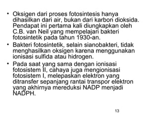 • Oksigen dari proses fotosintesis hanya
  dihasilkan dari air, bukan dari karbon dioksida.
  Pendapat ini pertama kali diungkapkan oleh
  C.B. van Neil yang mempelajari bakteri
  fotosintetik pada tahun 1930-an.
• Bakteri fotosintetik, selain sianobakteri, tidak
  menghasilkan oksigen karena menggunakan
  ionisasi sulfida atau hidrogen.
• Pada saat yang sama dengan ionisasi
  fotosistem II, cahaya juga mengionisasi
  fotosistem I, melepaskan elektron yang
  ditransfer sepanjang rantai transpor elektron
  yang akhirnya mereduksi NADP menjadi
  NADPH.

                                        13
 