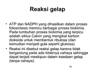 Reaksi gelap

• ATP dan NADPH yang dihasilkan dalam proses
  fotosintesis memicu berbagai proses biokimia.
  Pada tumbuhan proses biokimia yang terpicu
  adalah siklus Calvin yang mengikat karbon
  dioksida untuk membentuk ribulosa (dan
  kemudian menjadi gula seperti glukosa).
• Reaksi ini disebut reaksi gelap karena tidak
  bergantung pada ada tidaknya cahaya sehingga
  dapat terjadi meskipun dalam keadaan gelap
  (tanpa cahaya).
                                    15
 