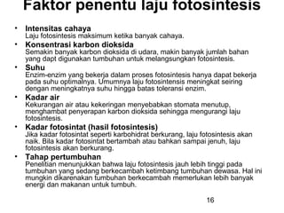 Faktor penentu laju fotosintesis
• Intensitas cahaya
  Laju fotosintesis maksimum ketika banyak cahaya.
• Konsentrasi karbon dioksida
  Semakin banyak karbon dioksida di udara, makin banyak jumlah bahan
  yang dapt digunakan tumbuhan untuk melangsungkan fotosintesis.
• Suhu
  Enzim-enzim yang bekerja dalam proses fotosintesis hanya dapat bekerja
  pada suhu optimalnya. Umumnya laju fotosintensis meningkat seiring
  dengan meningkatnya suhu hingga batas toleransi enzim.
• Kadar air
  Kekurangan air atau kekeringan menyebabkan stomata menutup,
  menghambat penyerapan karbon dioksida sehingga mengurangi laju
  fotosintesis.
• Kadar fotosintat (hasil fotosintesis)
  Jika kadar fotosintat seperti karbohidrat berkurang, laju fotosintesis akan
  naik. Bila kadar fotosintat bertambah atau bahkan sampai jenuh, laju
  fotosintesis akan berkurang.
• Tahap pertumbuhan
  Penelitian menunjukkan bahwa laju fotosintesis jauh lebih tinggi pada
  tumbuhan yang sedang berkecambah ketimbang tumbuhan dewasa. Hal ini
  mungkin dikarenakan tumbuhan berkecambah memerlukan lebih banyak
  energi dan makanan untuk tumbuh.

                                                             16
 
