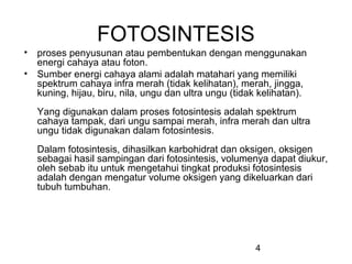 FOTOSINTESIS
• proses penyusunan atau pembentukan dengan menggunakan
  energi cahaya atau foton.
• Sumber energi cahaya alami adalah matahari yang memiliki
  spektrum cahaya infra merah (tidak kelihatan), merah, jingga,
  kuning, hijau, biru, nila, ungu dan ultra ungu (tidak kelihatan).
   Yang digunakan dalam proses fotosintesis adalah spektrum
   cahaya tampak, dari ungu sampai merah, infra merah dan ultra
   ungu tidak digunakan dalam fotosintesis.
   Dalam fotosintesis, dihasilkan karbohidrat dan oksigen, oksigen
   sebagai hasil sampingan dari fotosintesis, volumenya dapat diukur,
   oleh sebab itu untuk mengetahui tingkat produksi fotosintesis
   adalah dengan mengatur volume oksigen yang dikeluarkan dari
   tubuh tumbuhan.




                                                      4
 