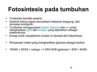 Fotosintesis pada tumbuhan
• Tumbuhan bersifat autotrof.
• Autotrof artinya dapat mensintesis makanan langsung. dari
  senyawa anorganik.
• Tumbuhan menggunakan karbon dioksida dan air untuk
  menghasilkan gula dan oksigen yang diperlukan sebagai
  makanannya.
• Energi untuk menjalankan proses ini berasal dari fotosintesis.

• Persamaan reaksi yang menghasilkan glukosa sebagai berikut:

• 12H2O + 6CO2 + cahaya --> C6H12O6 (glukosa) + 6O2 + 6H2O




                                                     6
 