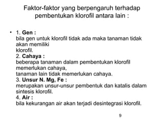 Faktor-faktor yang berpengaruh terhadap
        pembentukan klorofil antara lain :

• 1. Gen :
  bila gen untuk klorofil tidak ada maka tanaman tidak
  akan memiliki
  klorofil.
  2. Cahaya :
  beberapa tanaman dalam pembentukan klorofil
  memerlukan cahaya,
  tanaman lain tidak memerlukan cahaya.
  3. Unsur N. Mg, Fe :
  merupakan unsur-unsur pembentuk dan katalis dalam
  sintesis klorofil.
  4. Air :
  bila kekurangan air akan terjadi desintegrasi klorofil.

                                             9
 
