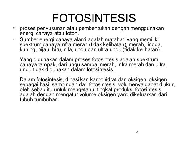 Fotosintesis