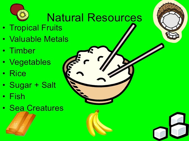 The Natural Resources Of Philippines The Natural Resources Of Philippines
