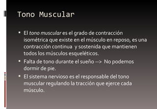 Tono Muscular <ul><li>El  tono muscular  es el grado de contracción isométrica que existe en el músculo en reposo, es una ...