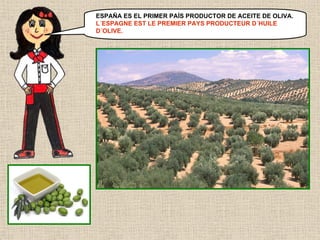 ESPAÑA ES EL PRIMER PAÍS PRODUCTOR DE ACEITE DE OLIVA.
L´ESPAGNE EST LE PREMIER PAYS PRODUCTEUR D´HUILE
D´OLIVE.

 