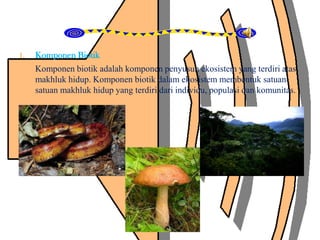 1. Komponen Biotik
Komponen biotik adalah komponen penyusun ekosistem yang terdiri atas
makhluk hidup. Komponen biotik dalam ekosistem membentuk satuan-
satuan makhluk hidup yang terdiri dari individu, populasi dan komunitas.
 