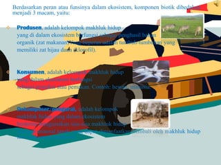 Berdasarkan peran atau funsinya dalam ekosistem, komponen biotik dibedakan
menjadi 3 macam, yaitu:
 Produsen, adalah kelompok makhluk hidup
yang di dalam ekosistem berfungsi sebagai penghasil bahan
organik (zat makanan)Yang beperan adalah tumbuh-tumbuhan yang
memiliki zat hijau daun (klorofil).
 Konsumen, adalah kelompok makhluk hidup
yang dalam ekosistem berfungsi
sebagai pemakai atau pemakan. Contoh: hewan, manusia.
 Dekomposer/pengurai, adalah kelompok
makhluk hidup yang dalam ekosistem
berperan menguraikan sisa-sisa makhluk hidup
menjadi mineral tanah yang dapat dimanfaatkan kembali oleh makhluk hidup
lain khususnya produsen.
 