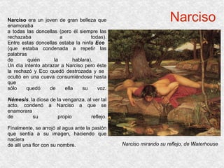 Narciso Narciso mirando su reflejo, de Waterhouse Narciso  era un joven de gran belleza que enamoraba a todas las doncellas (pero él siempre las rechazaba a todas). Entre estas doncellas estaba la ninfa  Eco   (que estaba condenada a repetir las palabras de quién la hablara).  Un día intento abrazar a Narciso pero éste la rechazó y Eco quedó destrozada y se  ocultó en una cueva consumiéndose hasta que sólo quedó de ella su voz. Némesis , la diosa de la venganza, al ver tal acto, condenó a Narciso a que se enamorara de su propio reflejo. Finalmente, se arrojó al agua ante la pasión que sentía a su imagen, haciendo que naciera de allí una flor con su nombre. 