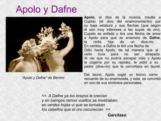 Apolo y Dafne “ Apolo y Dafne” de Bernini Apolo , el dios de la música, insulta a Cupido (el dios del enamoramiento) por su baja estatura y sus flechas (que según él són muy inferiores a las suyas de oro). Cupido se enfada y tira una flecha de amor a Apolo para que se enamore de  Dafne , la ninfa hija de un dios-río.  En cambio, a Dafne le tiró una flecha de Odio hacia Apolo, de tal manera que al  verlo huía para no ser atrapada. Al ver que no podría escapar más y Apolo la cogería por su rapidez, le pidió a su  padre (dios-río) que la convirtiera en laurel. Del laurel, Apolo cogió un brizno como  recuerdo de su enamorada, y este, se convirtió en uno de sus símbolos personales. <<  A Dafne ya los brazos le crecían y en luengos ramos vueltos se mostraban; en verdes hojas vi que se tornaban los cabellos que el oro oscurecían  >> Garcilaso 