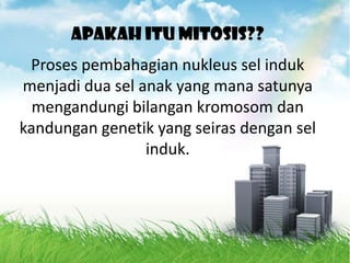 Apakah itu MITOSIS??
Proses pembahagian nukleus sel induk
menjadi dua sel anak yang mana satunya
mengandungi bilangan kromosom dan
kandungan genetik yang seiras dengan sel
induk.
 
