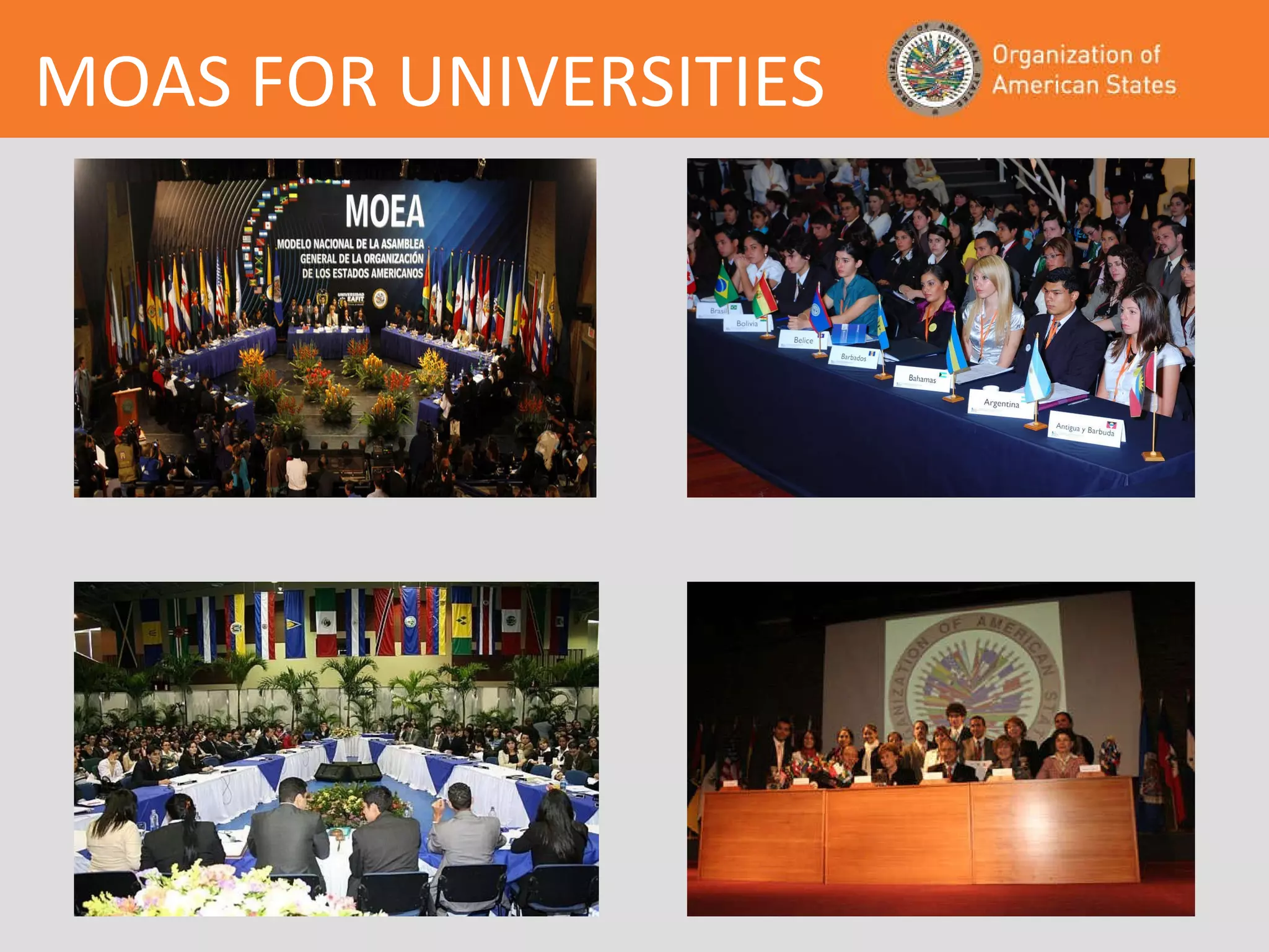 MOAS FOR UNIVERSITIES 