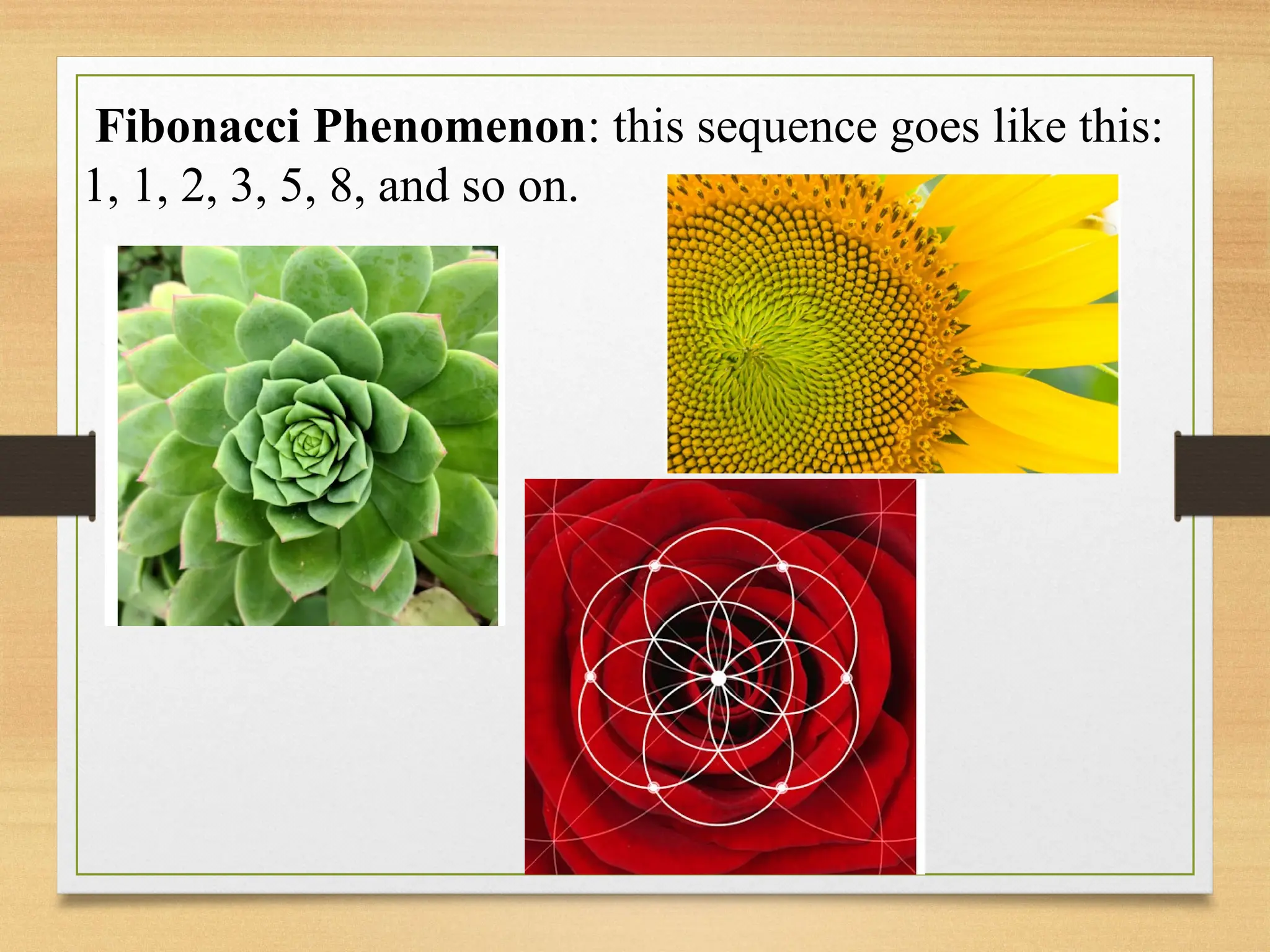 Fibonacci Phenomenon: this sequence goes like this:
1, 1, 2, 3, 5, 8, and so on.
 