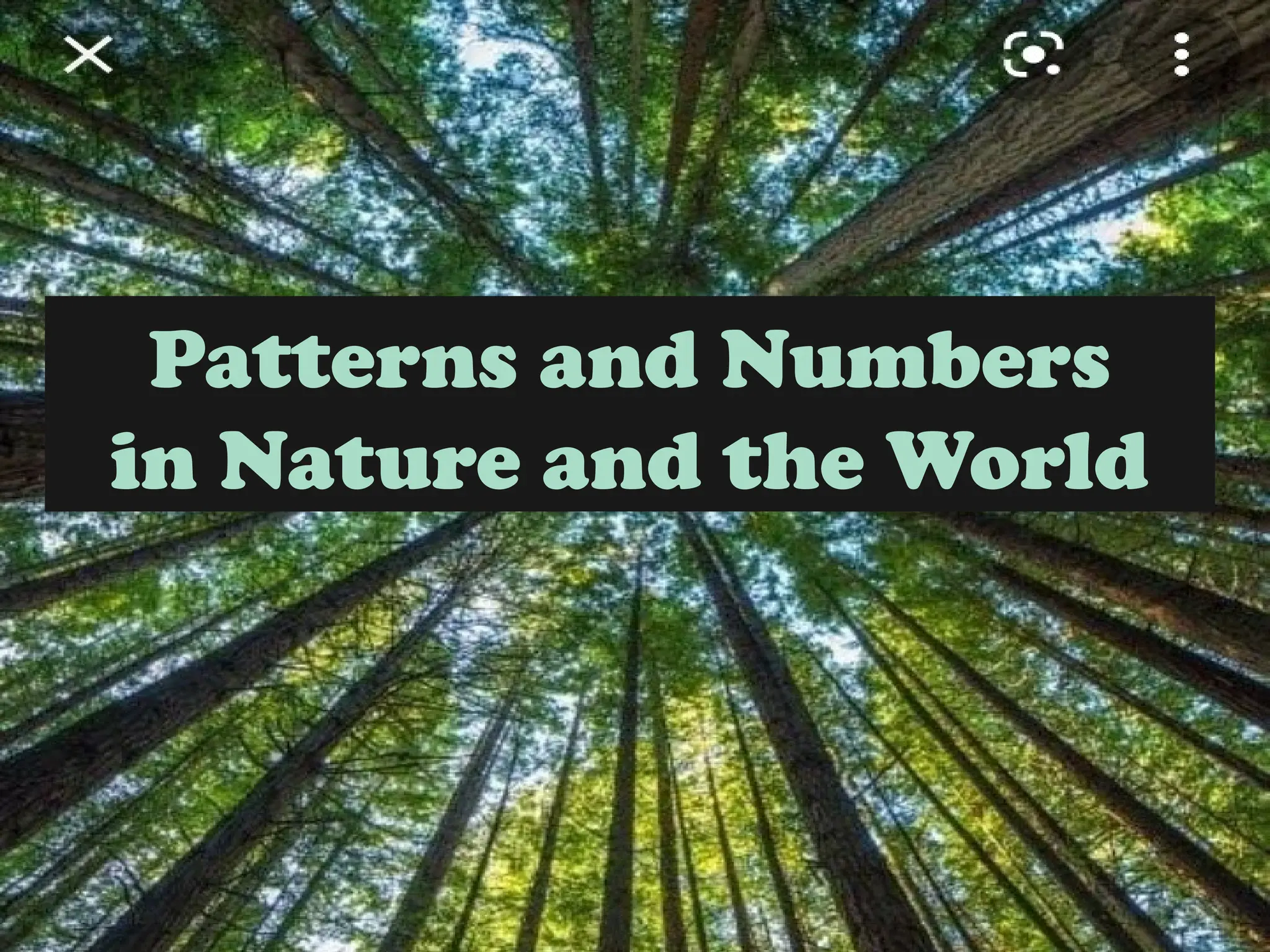 Patterns and Numbers
in Nature and the World
 