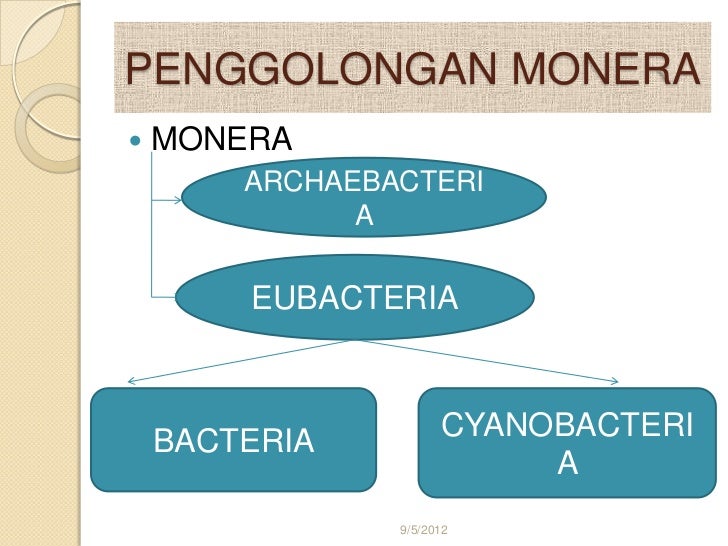 Power point monera