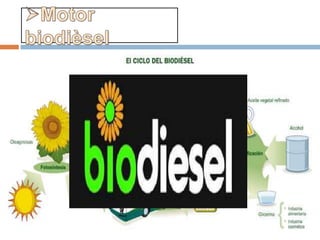    El biodièsel es un combustible líquid.
   S’obté a partir de lípids naturals com olis
    vegetals o greixos animals. També s’obté
    mitjançant processos industrials.
   S’aplica en la preparació de substituts totals o
    parcials del petrodièsel o el gasoil obtingut del
    petroli.
   Serveix per l’ús d’automoció.
 