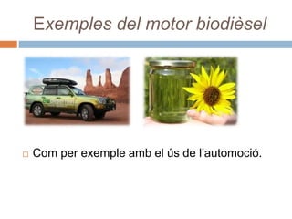 Exemples del motor biodièsel




   Com per exemple amb el ús de l’automoció.
 
