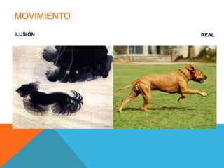 MOVIMIENTO
ILUSIÓN      REAL
 