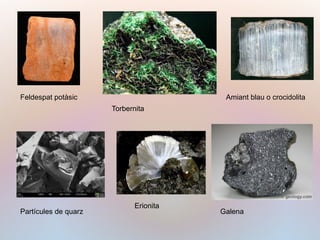 Feldespat potàsic
Torbernita
Amiant blau o crocidolita
Partícules de quarz
Erionita
Galena
 