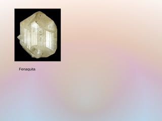 Fenaquita
 