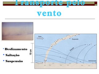 Transporte pelo 
vento 
10 cm 
 Deslizamento 
 Saltação 
 Suspensão 
 