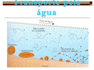 Transporte pela 
água 
 