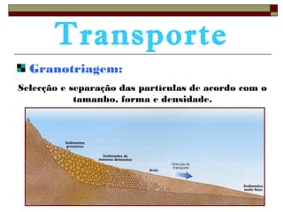 Transporte 
Granotriagem: 
Selecção e separação das partículas de acordo com o 
tamanho, forma e densidade. 
 