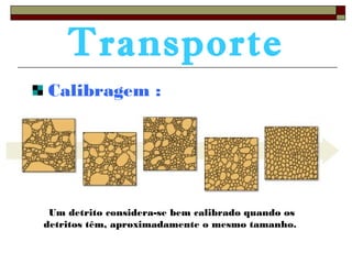 Transporte 
Calibragem : 
Um detrito considera-se bem calibrado quando os 
detritos têm, aproximadamente o mesmo tamanho. 
 